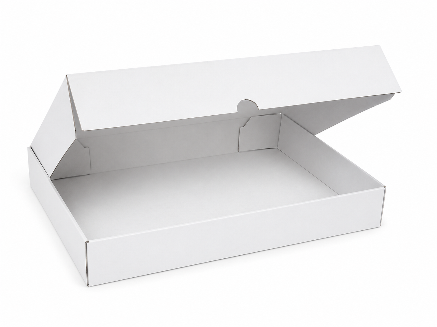 Dėžutė GR 310x210x60mm balta
